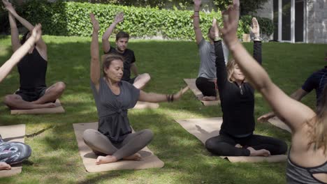 Sportliche-Menschen-Praktizieren-Yoga-Im-Park